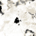 Image Not Available